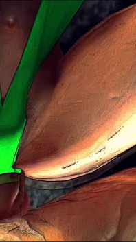 Funny Vids 110