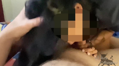 WhiteAlejandro: Adik tiri berambut coklat memberikan saya blowjob pagi yang baik...