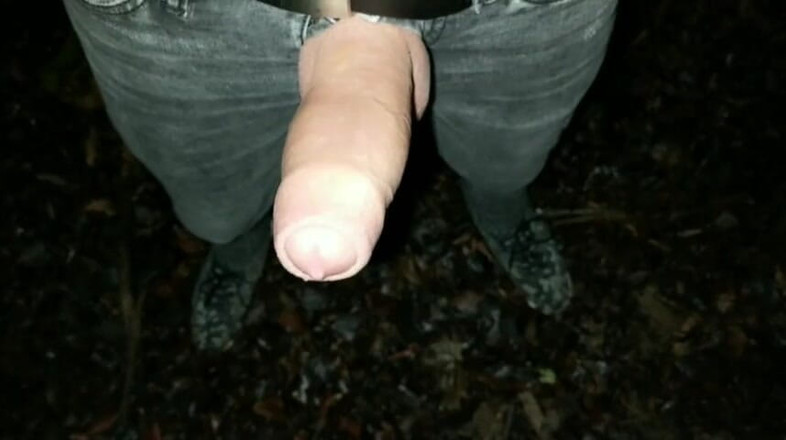 Idmir Sugary: मोटी स्पंदन देने वाला लंड एक शाम के आउटडोर में 2 बार वीर्य निकालता है