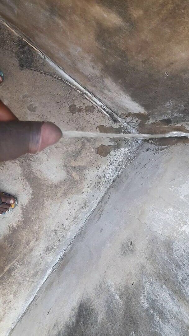 Bumba: Ha kul med min kissa