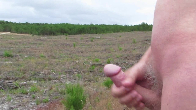 Littleschorschi: Paja desnuda en el bosque y los campos 6