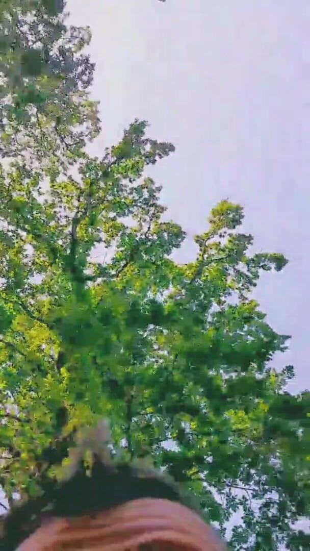 Slutboyben: Il ragazzo in cam4 esibizionista sexy pornostar