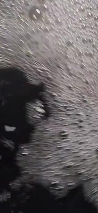 Astăzi este ziua băii