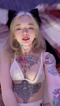 Who Misses Cat Looks? Maybe Time for a New Cat?