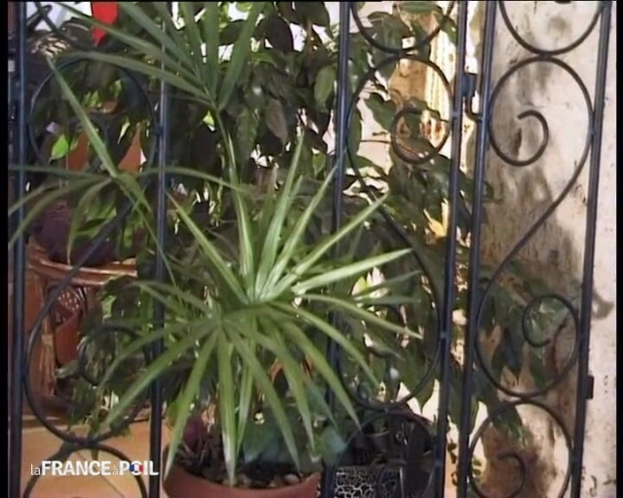 French Family Secrets: Vollbusige arabische schlampe gefingert, gefickt und gesahnt