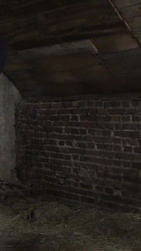 Bezlitosny ballbusting
