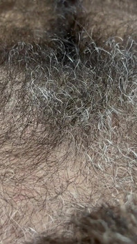 Furplay: pOV extrem behaarter bisexueller bär kommt, während er seinen pelzigen körper reibt
