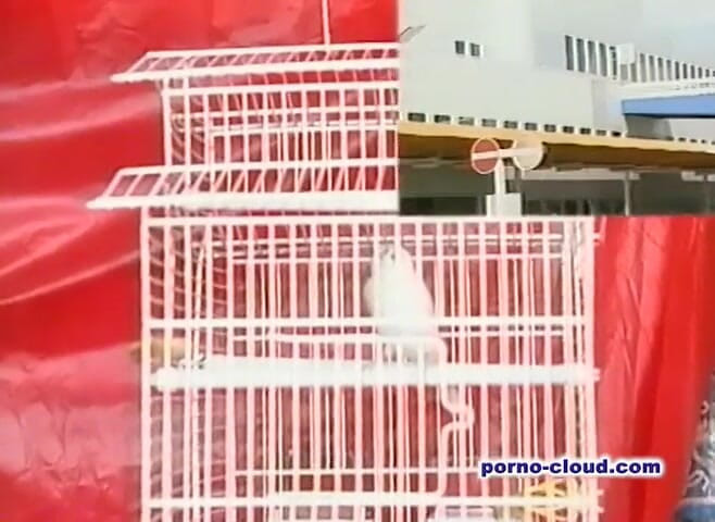 Porno Cloud: Tajemství Arabky - DVD