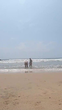 พวกเราอยู่ที่ชายหาด nudist