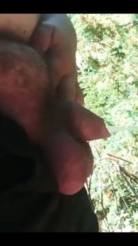 I Do Love Me Pissing in the Warm Weather