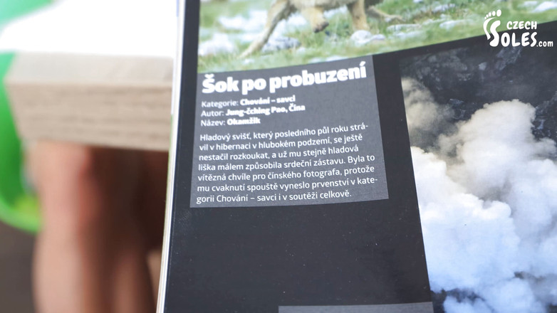 Czech Soles - foot fetish content: Holé nohy nevlastní sestry vás škádlí během studia