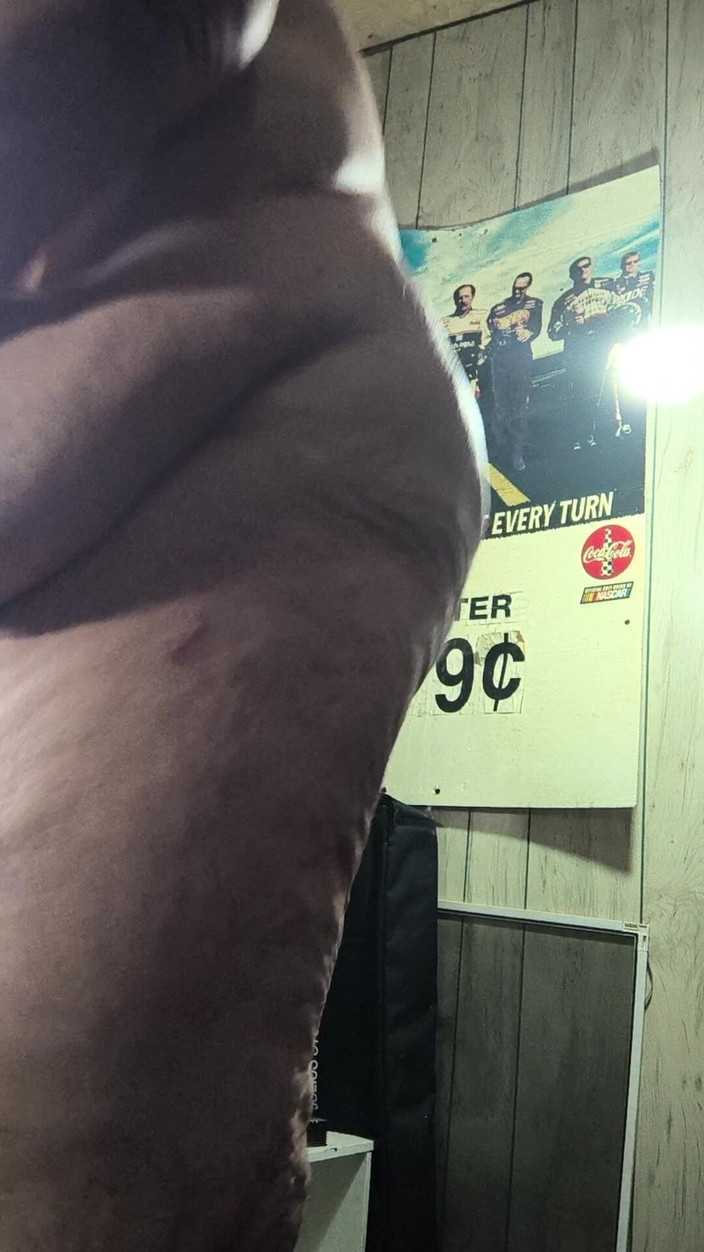 HerculesnVENUS: Gõ cửa mẹ kế âm thanh đó là gì? Bạn có đang masterbating...