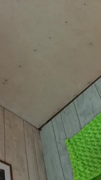ああバートファック私のgloryholeアーニーはここにない私潮吹き巨根バートを作る