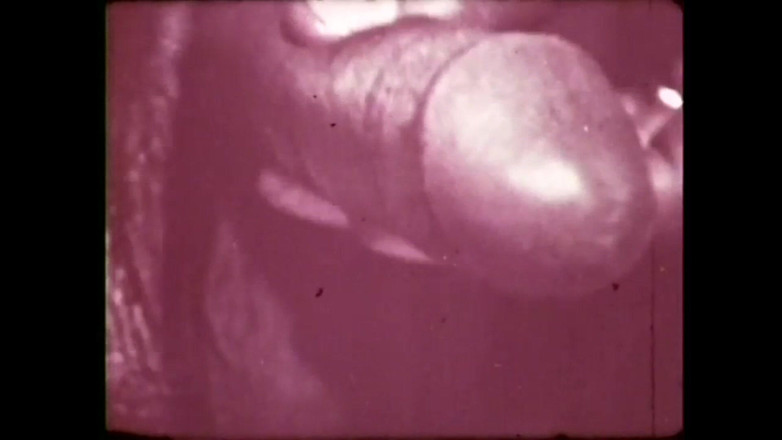 The Unforgettable: Disgustosa Puttana Perversa