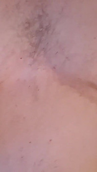 Grasso pompon in pantaloncini