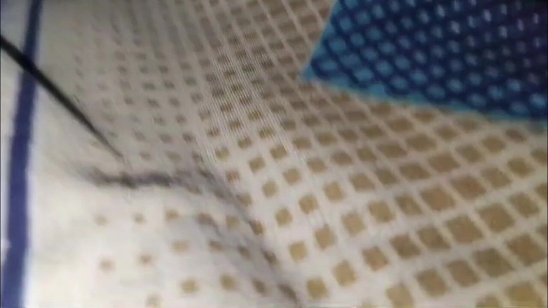 House stage: Indiska trender fantastiska bur chudai video för hennes riktiga första...