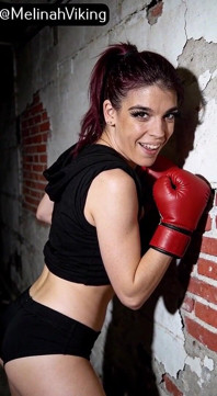 Horny Boxer