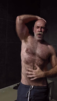Flexionar el oso muscular peludo