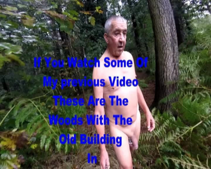 Andy: जंगल में बरसात और गीला