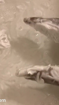 Nel bagno strofinandomi i piedi