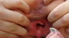 Brunette with natural tits fucks and gives a blowjob on a trail