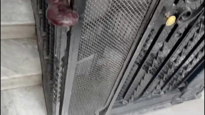 Melad Paris: Harige papa goed geneukt