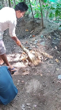 Three College Boys Enjoy Sex in the Woods Behind the House