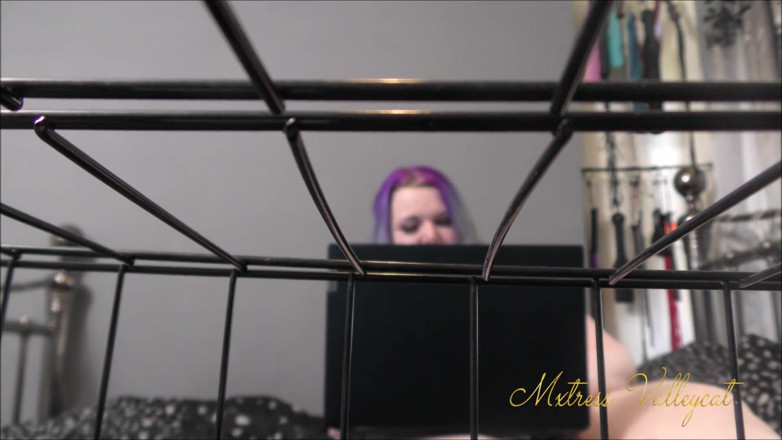 Mxtress Valleycat: Ignoring you while I cam with others