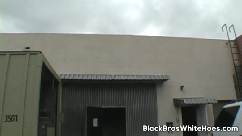 Black Bros White Hoes: ポルノスターCytheriaはBBCを愛する白人の女の子です