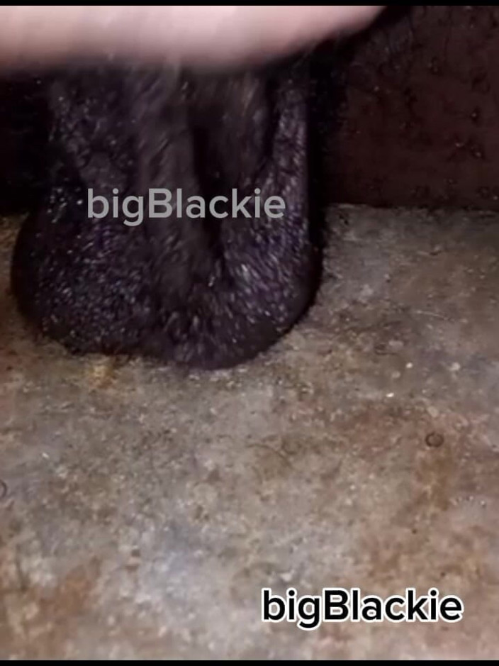 bigBlackie699: On Your Knees