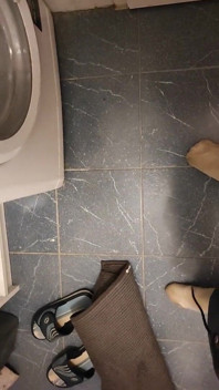 Dirty Pig Hammer on It, Pissing and Socks Toilet