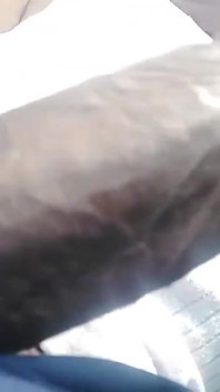 Sexy Cock