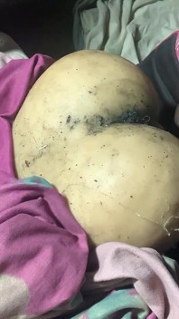 Mengongkek pantat jiran saya yang dibuat dari Usa membuatkan saya pancut mani