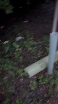 Сором'язливий хлопець у крейсерському місці і не міг встояти перед моїм членом