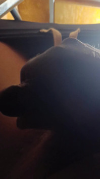 New Stepfather Hot Dick