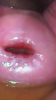 Extreme Close-up Pussy Cam