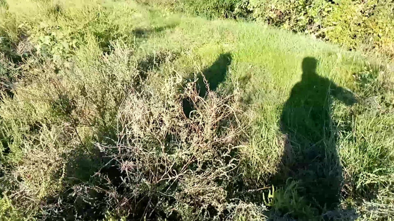 Blowjobs Alice: Tüm balık balıkçılarını korkuttu