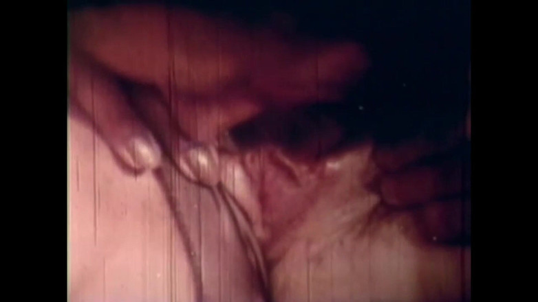 Vintage Megastore Full hd: Vulgární rozmarné prase