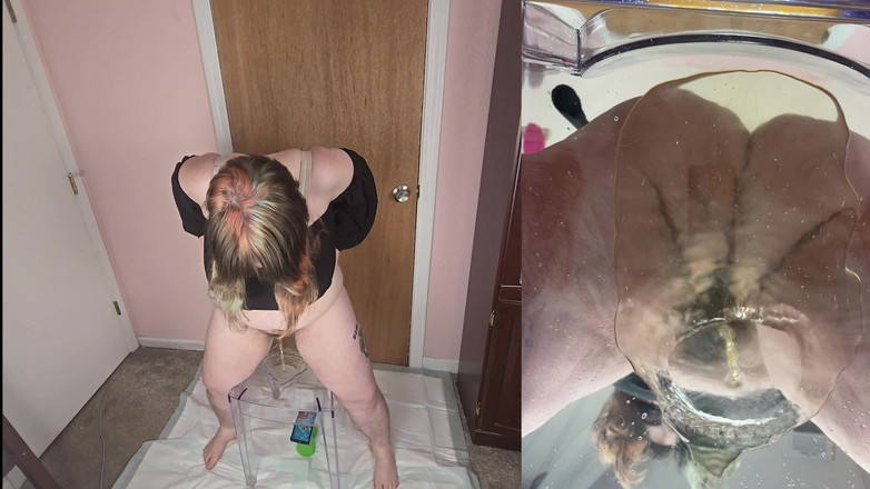 Mushroombitchx: De Clear Chair Chronicles: Clown Edition