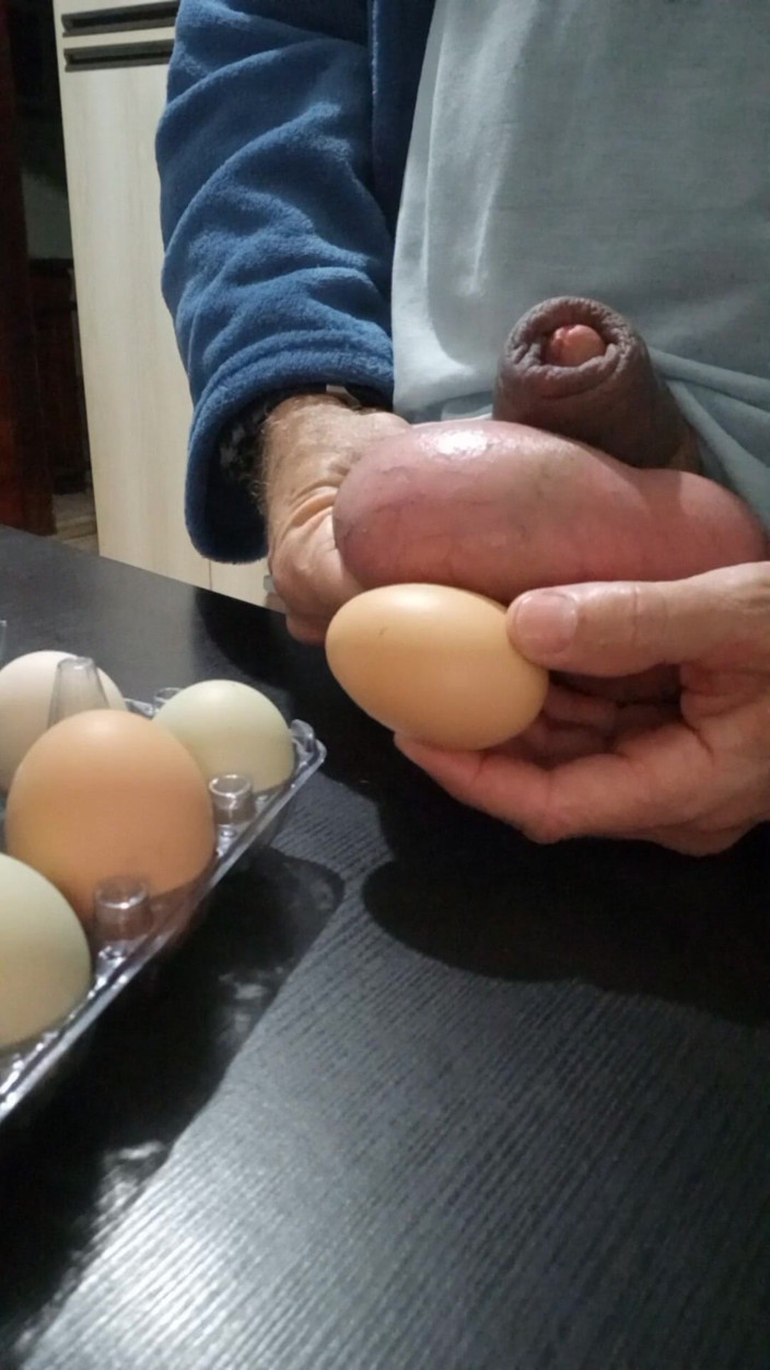 Lion big balls: Medindo e comparando ovos