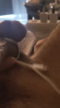 Solo Masturbation of a Stretched Pulsating Cock