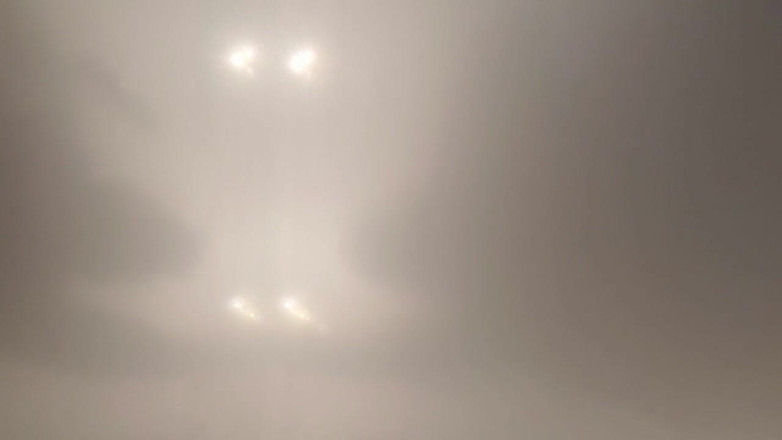 Skin and earth: Urso gordo em primeiro plano de Below. Grunhido e gozando...