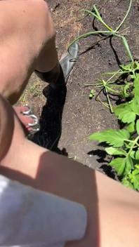 My Natural Organic Fertilizer
