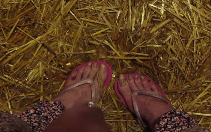 Barefoot Stables: Pissy Stable Feet