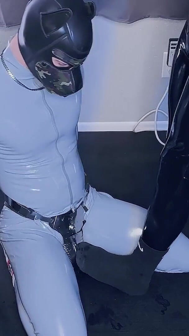 Locked Pup (RubberTFD)