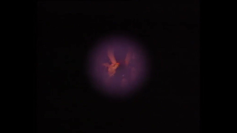 Vintage Climax: Hoan lạc kiểu cũ hoang dã