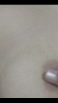 Boops