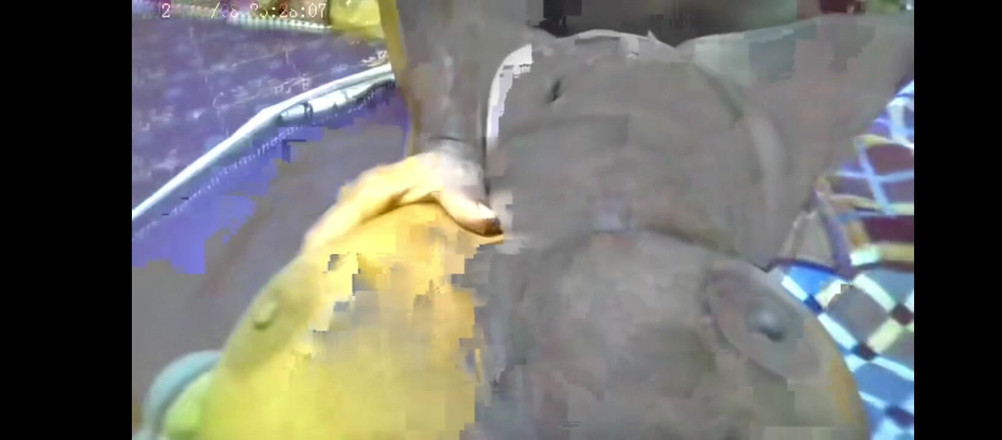 Mr desi entertainment: Tamil desi sexy přítelkyně krásná Fuked