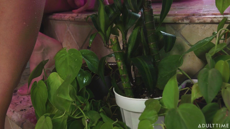 Oopsie: Oopsie - T-mädchen jade venus gibt cis-lesbische christy love explosive squirting-orgasmen...