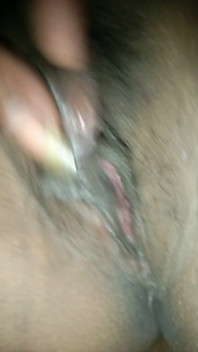 Muschi
